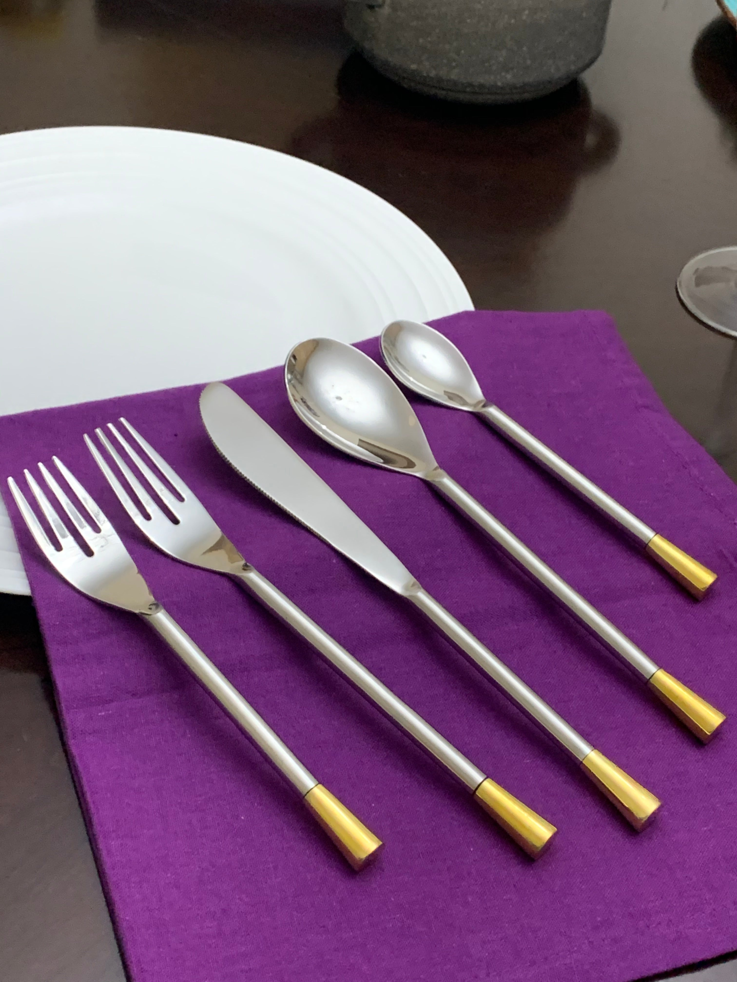 Vibhsa 20 Piece Silver Flatware Set, Service for 4